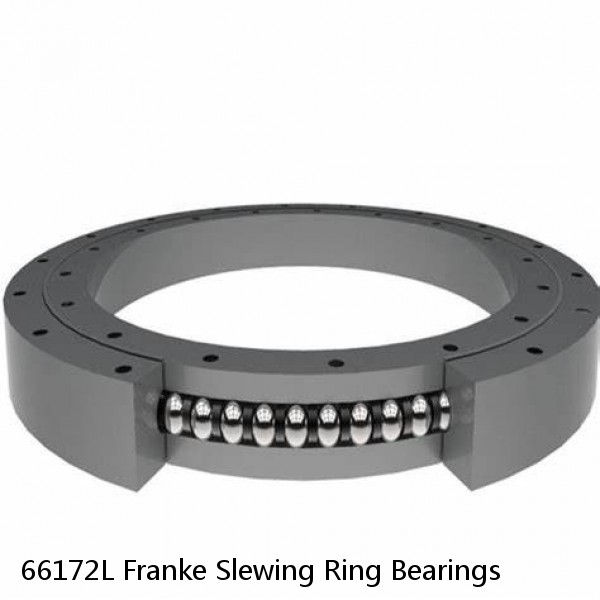 66172L Franke Slewing Ring Bearings