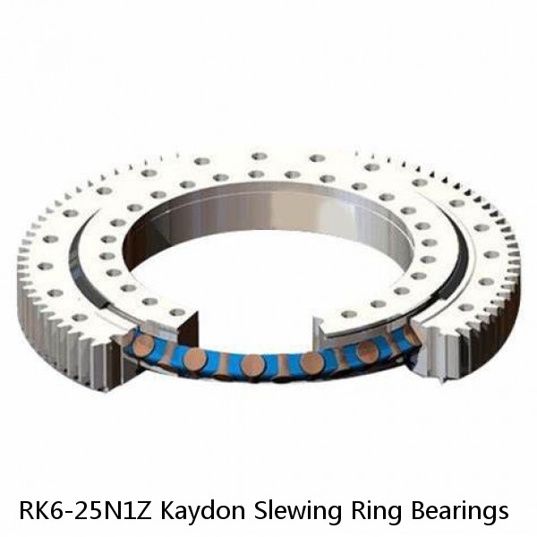 RK6-25N1Z Kaydon Slewing Ring Bearings