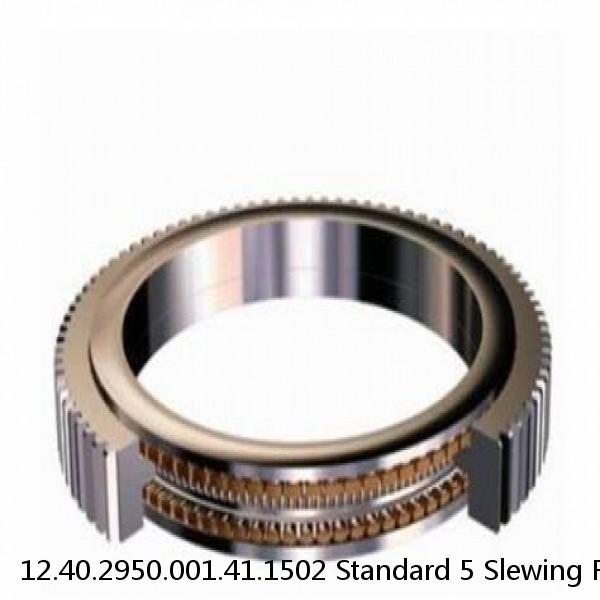 12.40.2950.001.41.1502 Standard 5 Slewing Ring Bearings