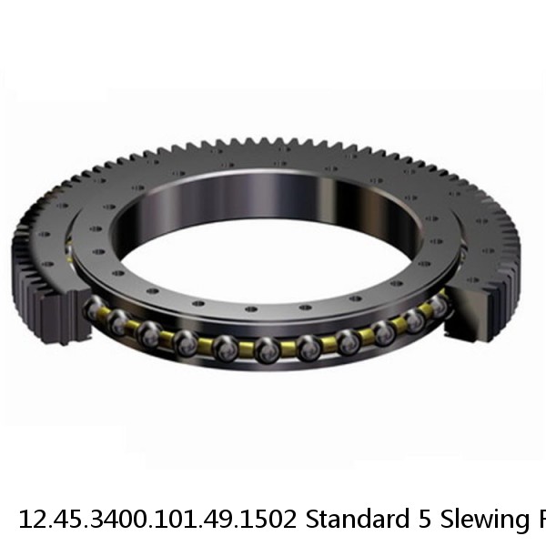 12.45.3400.101.49.1502 Standard 5 Slewing Ring Bearings