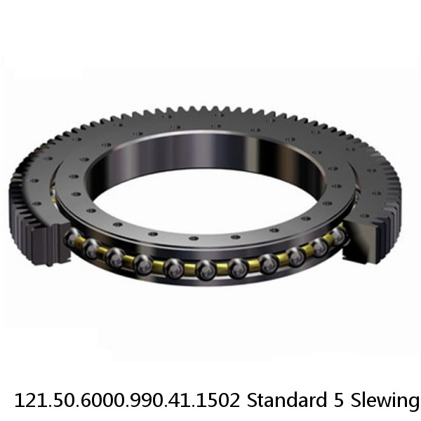 121.50.6000.990.41.1502 Standard 5 Slewing Ring Bearings