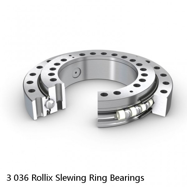 3 036 Rollix Slewing Ring Bearings