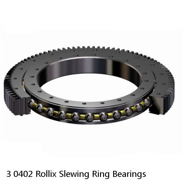 3 0402 Rollix Slewing Ring Bearings