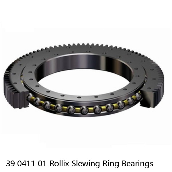 39 0411 01 Rollix Slewing Ring Bearings