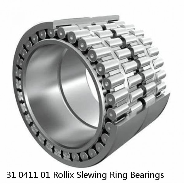 31 0411 01 Rollix Slewing Ring Bearings