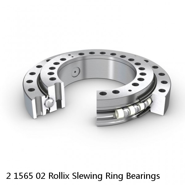2 1565 02 Rollix Slewing Ring Bearings