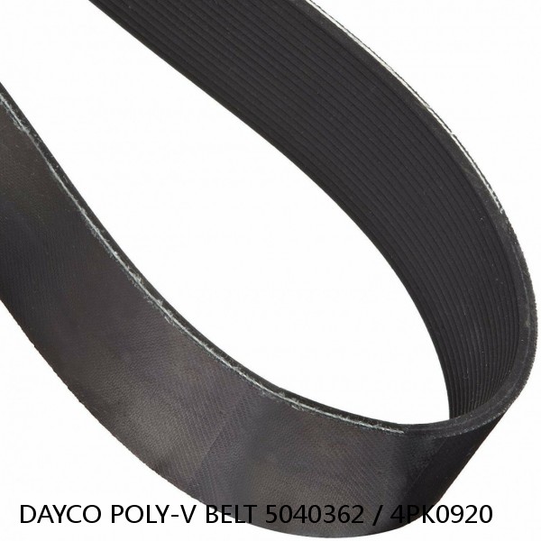 DAYCO POLY-V BELT 5040362 / 4PK0920