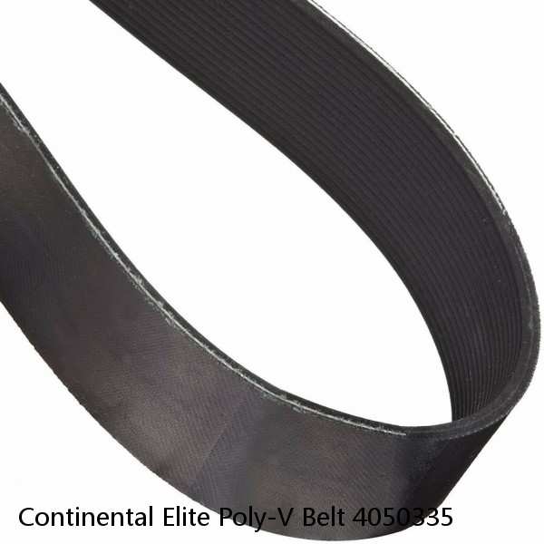 Continental Elite Poly-V Belt 4050335