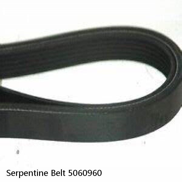 Serpentine Belt 5060960